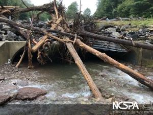 long span steel structural plate low profile arch bridge replacement