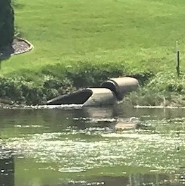 flooding concrete pipe