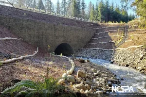 bottomless arch fish passage