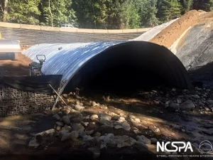 bottomless arch fish passage