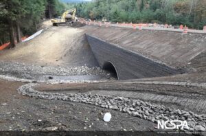 bottomless arch fish passage 