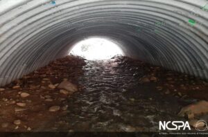 bottomless arch fish passage 