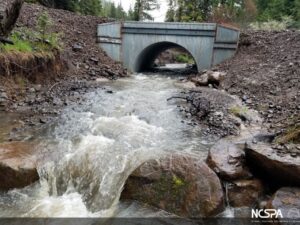 structural steel plate arch fish passage