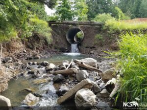 structural steel plate arch fish passage