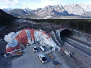 animal crossing in Western Canada - 2024 NCSPA Project of the Year Winner - Resiliency